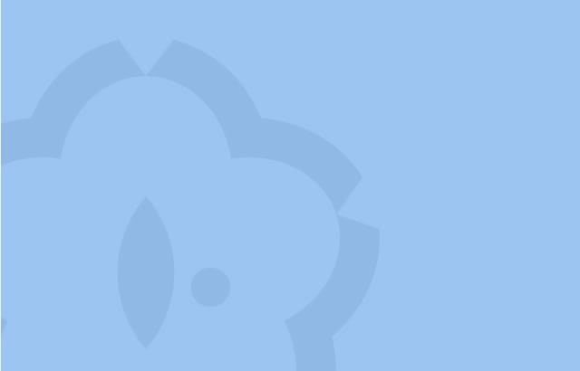 ニュース トピックス サクラテック株式会社