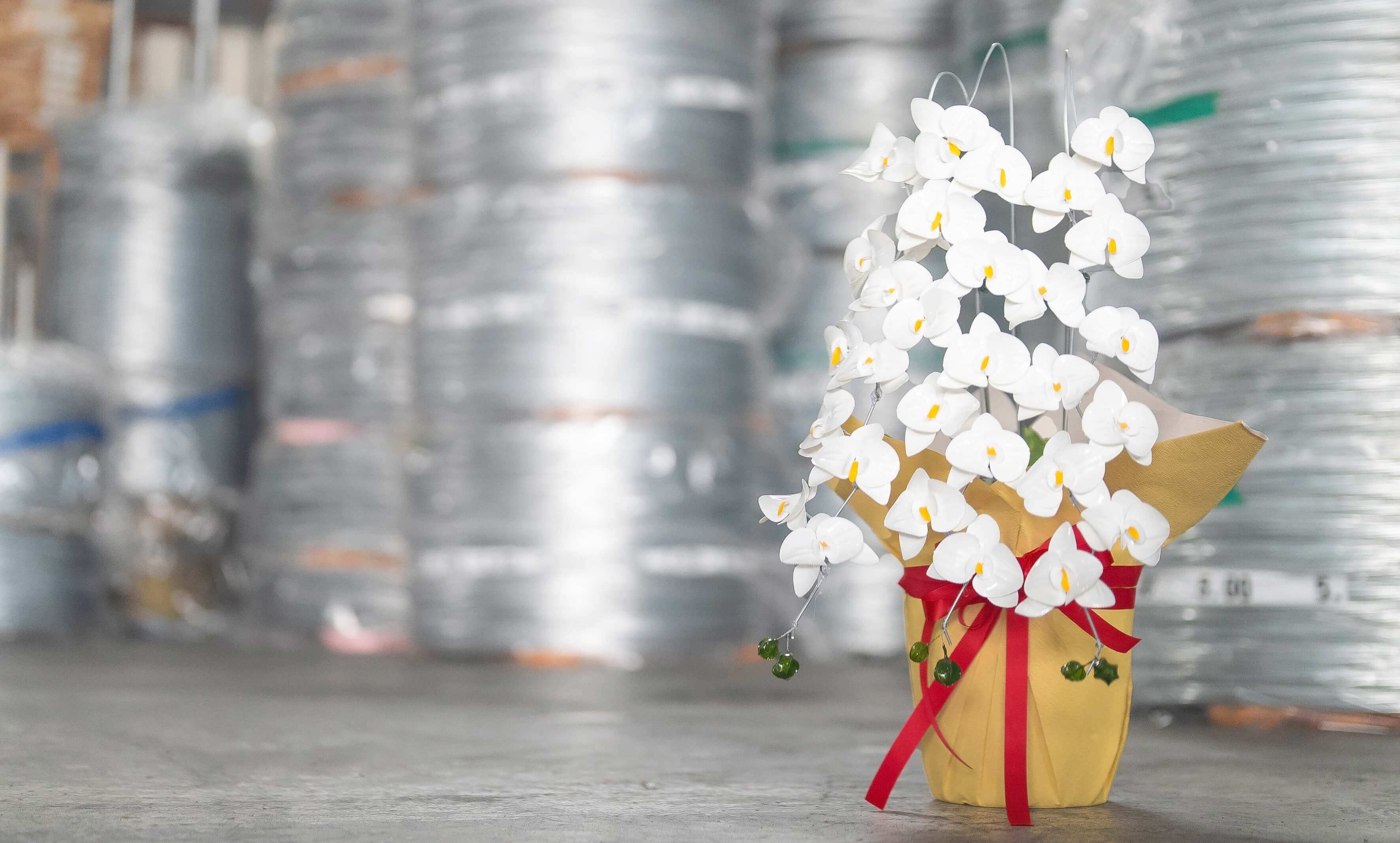 ワイヤー胡蝶蘭レンタルサービス コチョスク